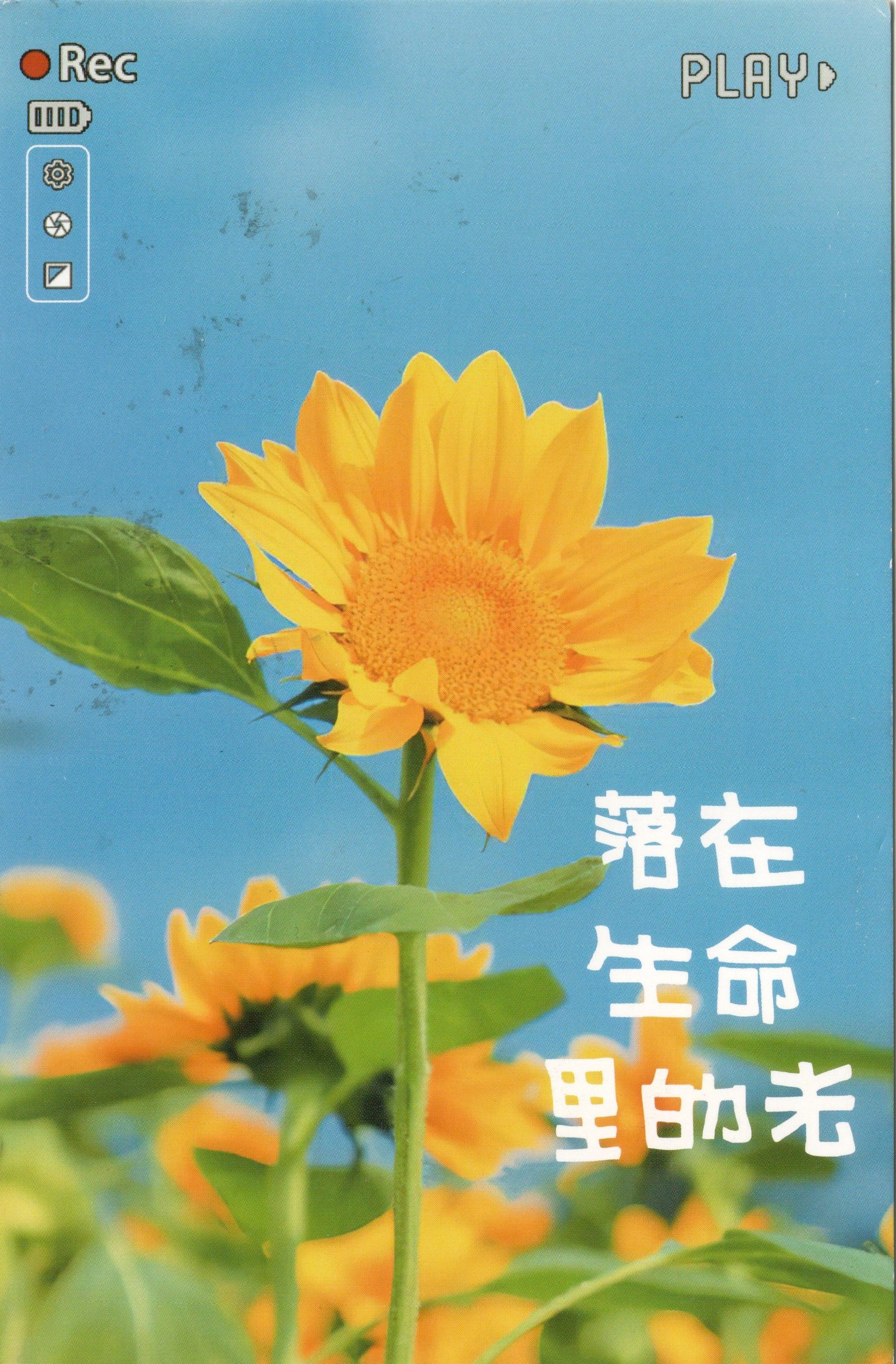 明信片 (2).jpg